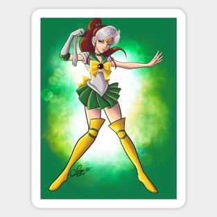 Sailor Rogue Magnet